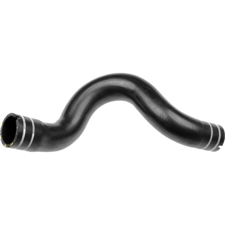 RAPRO R11691 Radiator Hose