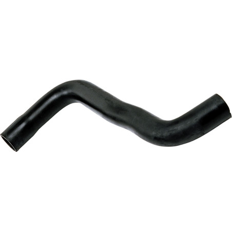 RAPRO R12191 Radiator Hose