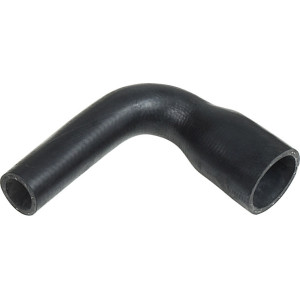 RAPRO R12387 Radiator Hose