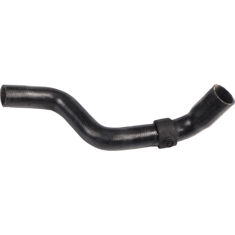 RAPRO R12432 Radiator Hose