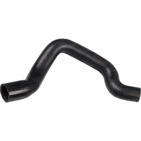 RAPRO R12441 Radiator Hose