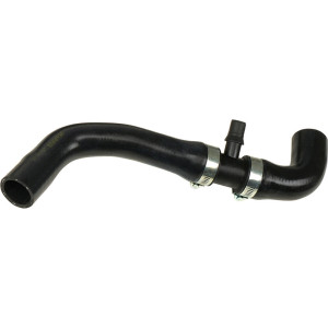 RAPRO R15113 Radiator Hose