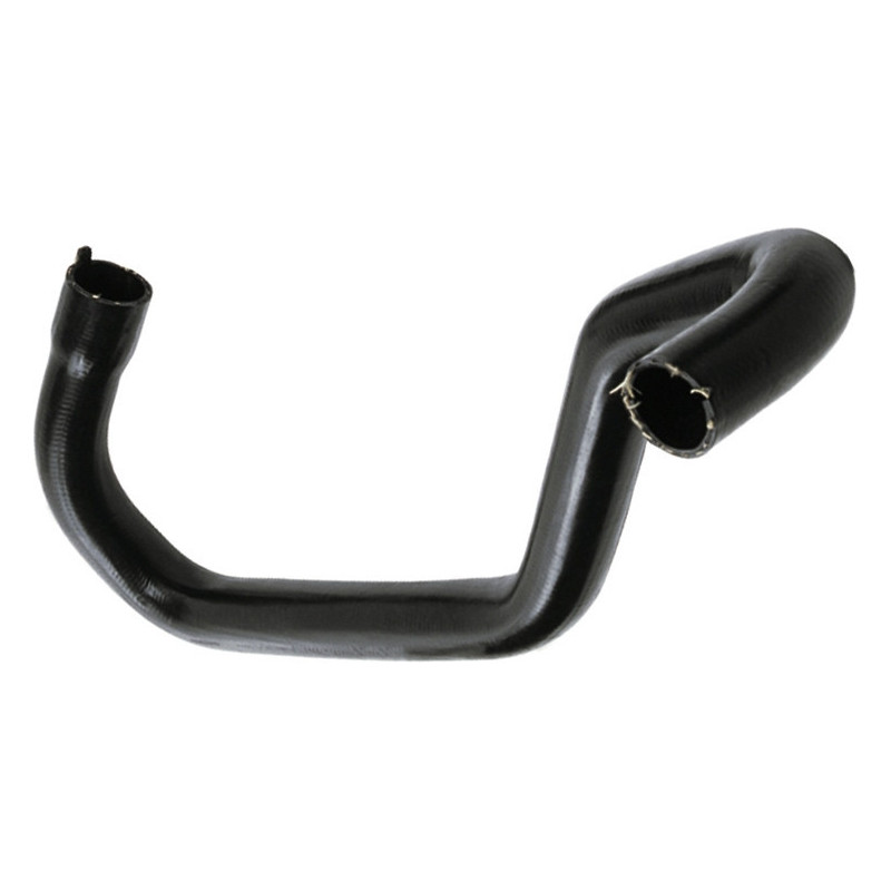 RAPRO R15123 Radiator Hose