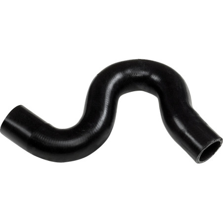 RAPRO R15196 Radiator Hose