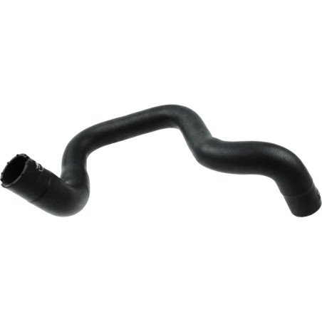 RAPRO R16197 Radiator Hose