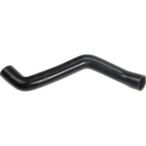 RAPRO R18119 Radiator Hose