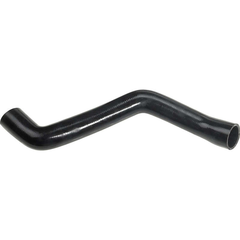 RAPRO R18119 Radiator Hose