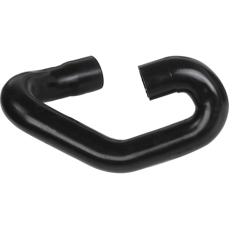 RAPRO R18167 Radiator Hose