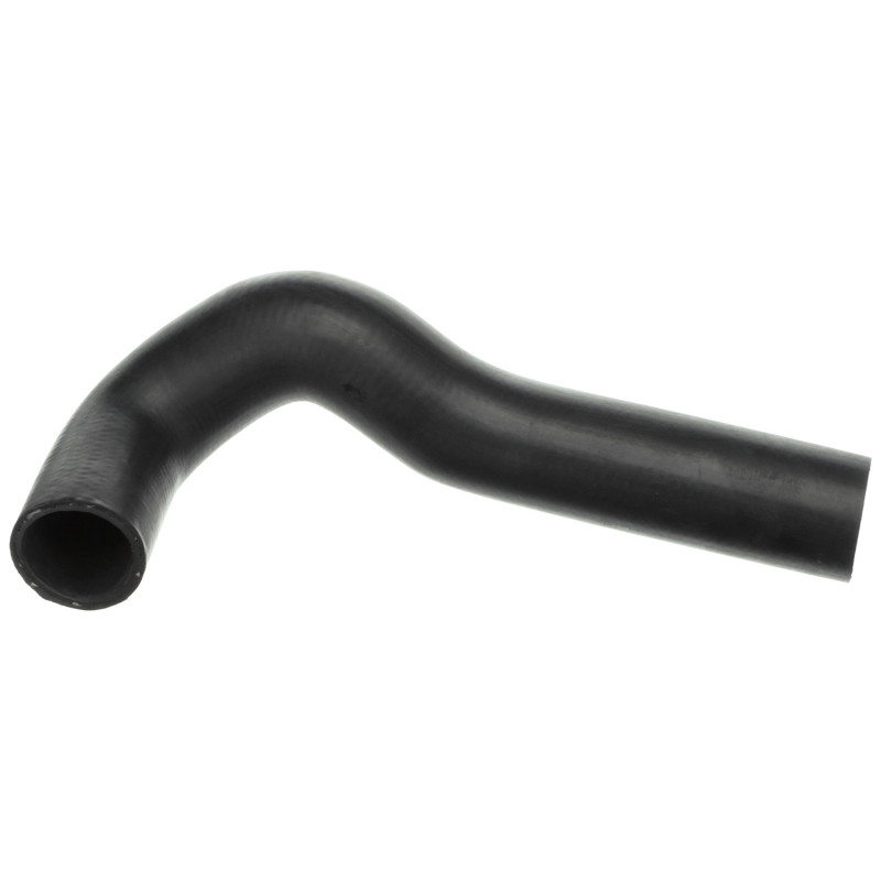 RAPRO R19556 Radiator Hose