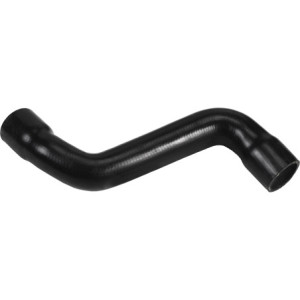 RAPRO R25266 Radiator Hose