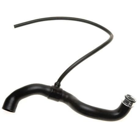 RAPRO R28183 Radiator Hose