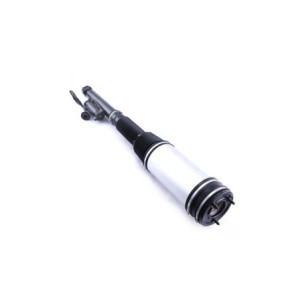 Hinten Luftfederbein Stossdämpfer für Mercedes S-Klasse W220 Denckermann DSA004G