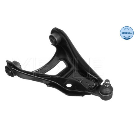MEYLE 16-16 050 7031 Bras de suspension avant droite pour Renault Clio