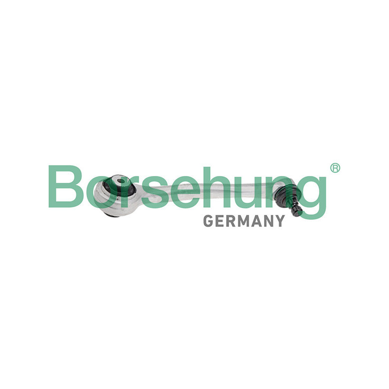 BORSEHUNG B10846 Braccio oscillante per