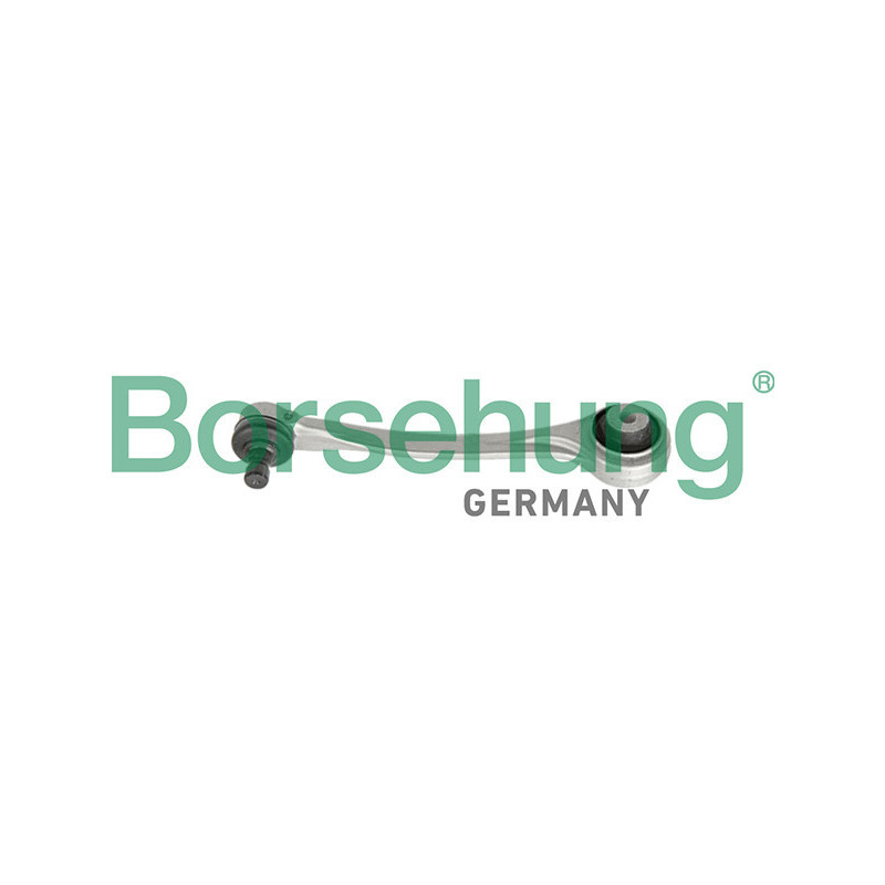 BORSEHUNG B10849 Track Control Arm Wishbone for