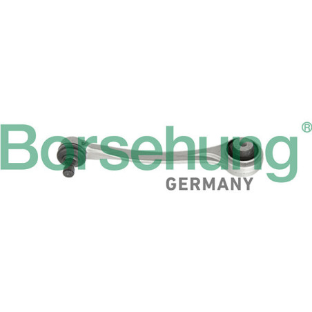 BORSEHUNG B10849 Rameno zavesenia kolies pre