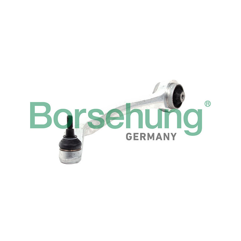BORSEHUNG B10856 Braccio oscillante per