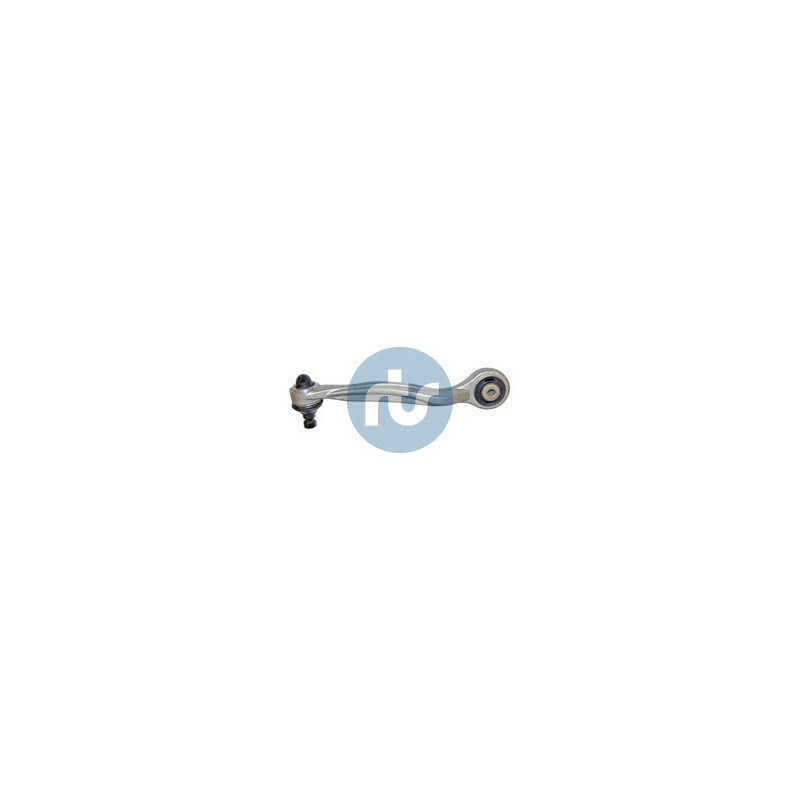 RTS 95-05982-2 Braccio oscillante per