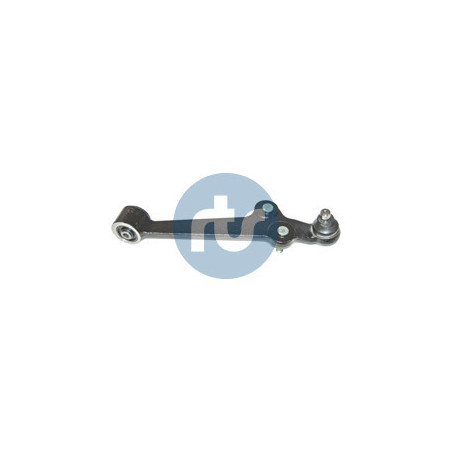 RTS 95-08812-1 Braccio oscillante per