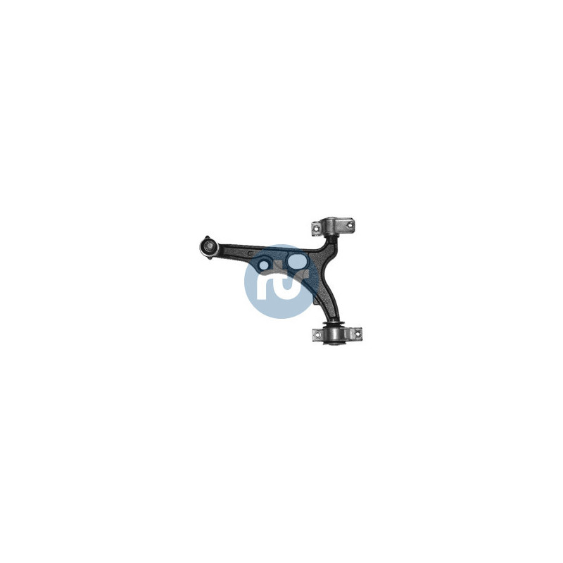 RTS 96-00033 Braccio oscillante per