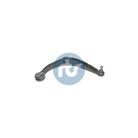 RTS 96-00494-1 Braccio oscillante per