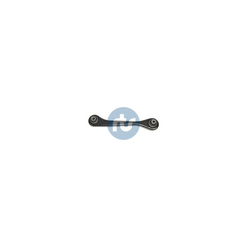 RTS 95-05308-1 Braccio oscillante per