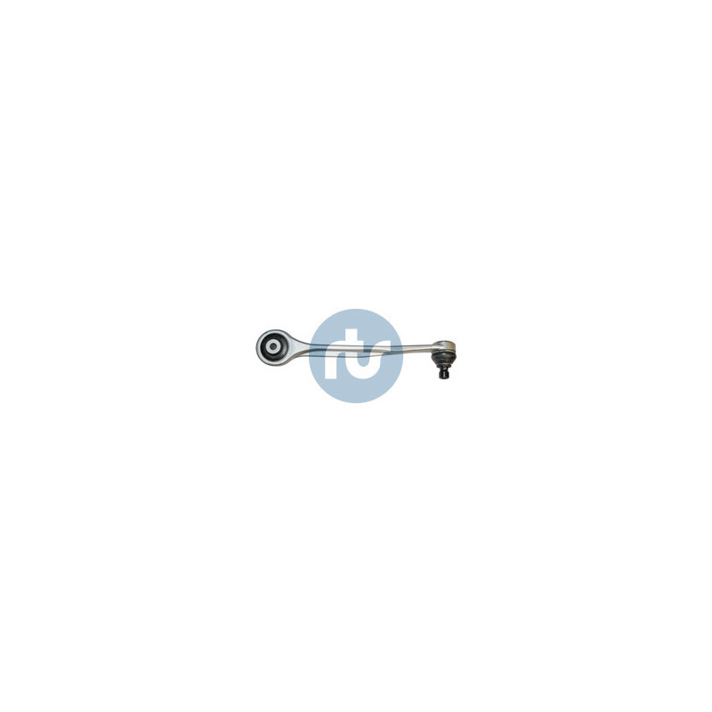 RTS 95-95966-1 Braccio oscillante per