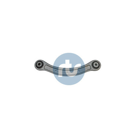 RTS 95-06917 Braccio oscillante per