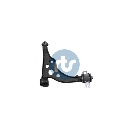 RTS 96-00578-2 Braccio oscillante per