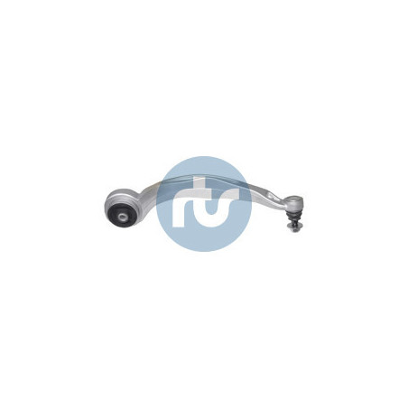 RTS 95-95991-1 Braccio oscillante per