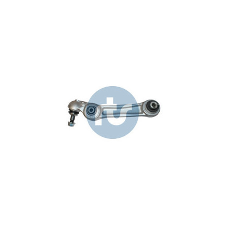 RTS 95-99556-2 Braccio oscillante per
