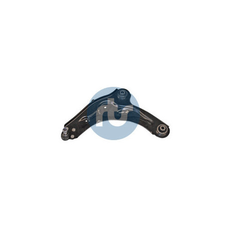 RTS 96-09203-2 Braccio oscillante per