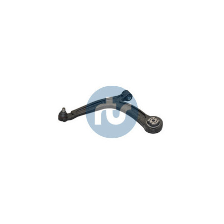 RTS 96-05409-2 Braccio oscillante per