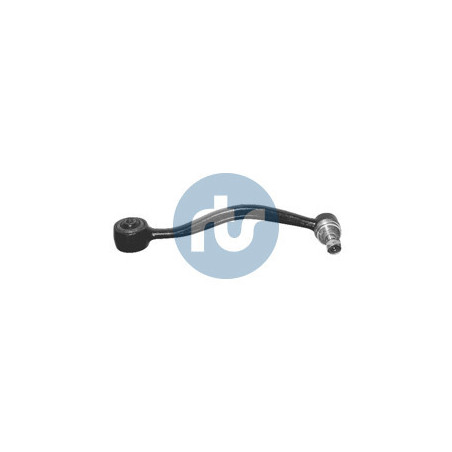 RTS 95-09524-1 Braccio oscillante per