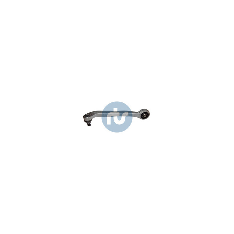 RTS 95-05981-2 Braccio oscillante per