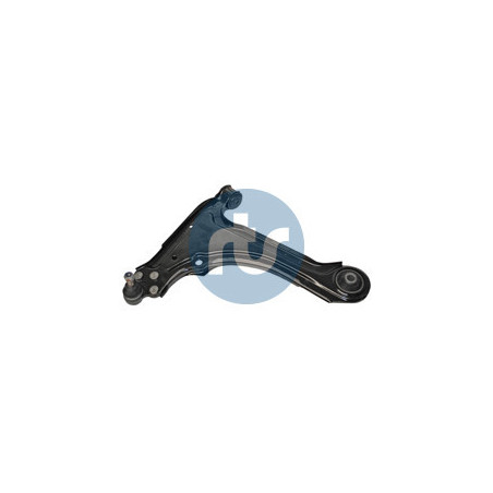 RTS 96-00321-2 Braccio oscillante per