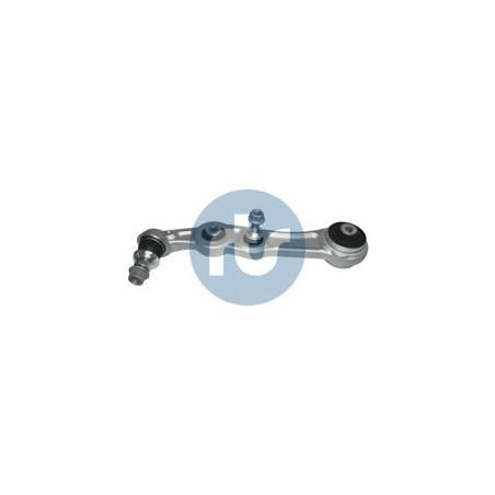 RTS 95-01459-1 Braccio oscillante per