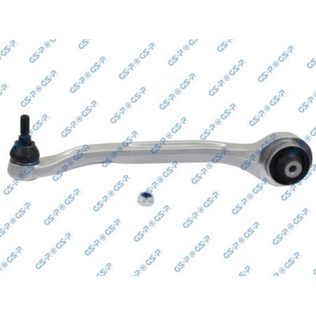 GSP S060029 Braccio oscillante per