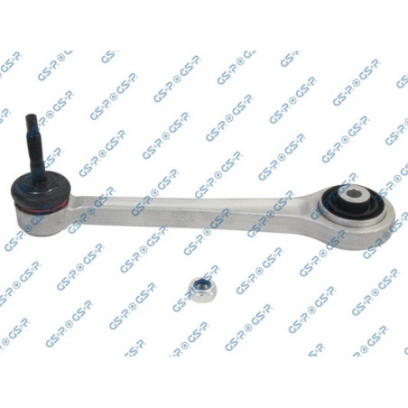 GSP S060061 Braccio oscillante per