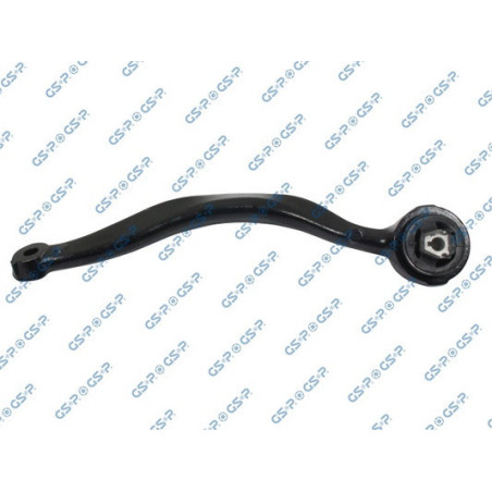 GSP S060065 Braccio oscillante per