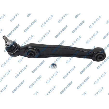 GSP S060122 Braccio oscillante per