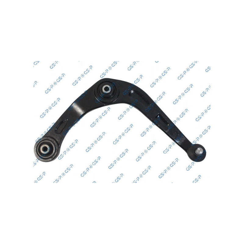 GSP S060880 Braccio oscillante per