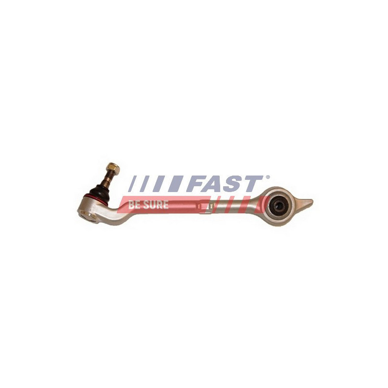 FAST FT15684 Braccio oscillante per