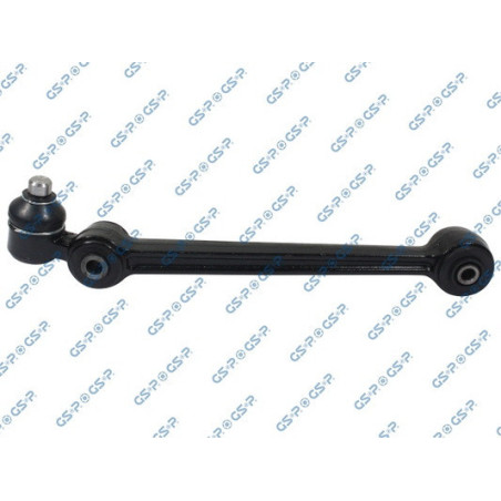 GSP S060309 Braccio oscillante per